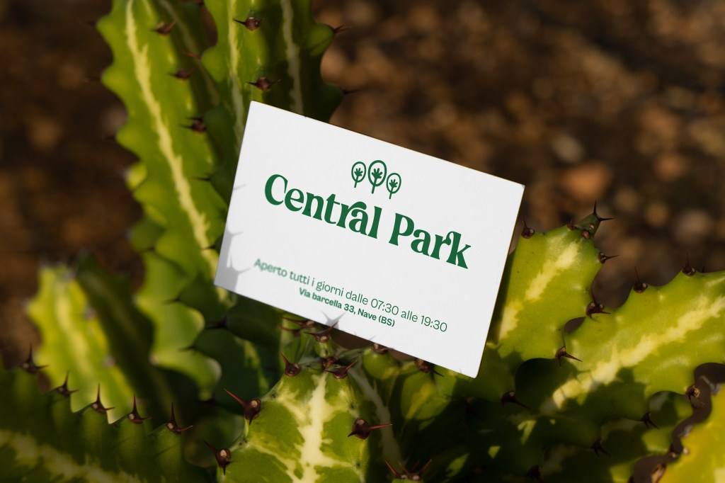 Central park bar | Nave | Business card | Biglietto da visita | Martina Vezzoli